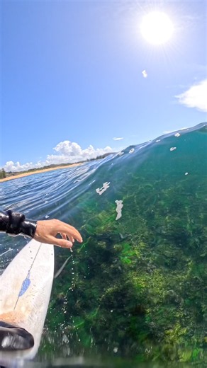 SURFING THE GLASSIEST REEF BREAK EVER!