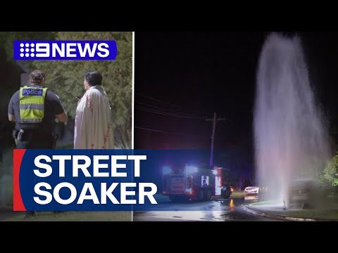 Alleged drink driver crashes into fire hydrant in Melbourne | 9 News Australia