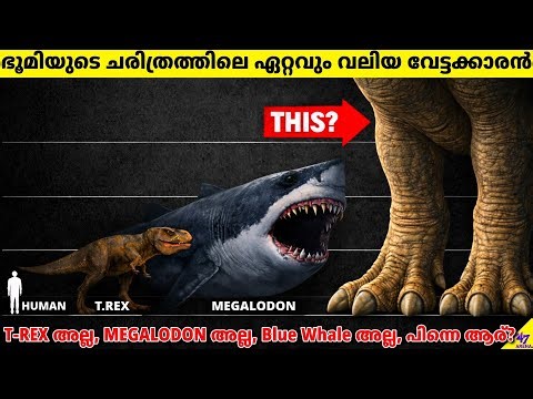 The Largest Apex Predator of All Time Was Not What You Think | 47 ARENA