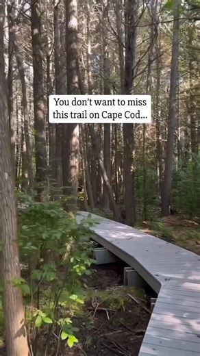 The Guidebook of Cape Cod - Travel Guide on Instagram: "We’re reposting our most popular reels from 2025 ✨ This one comes in at #1 with 1.5 million views 🎉 Have you been here before?! #capecod"