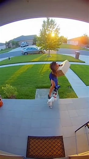 Best Porch Pirate Prank #PorchPirate #Pranks #Compilation