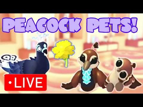 NEW Peacock Pets & Salon Update | Roblox Adopt Me | Riivv3r