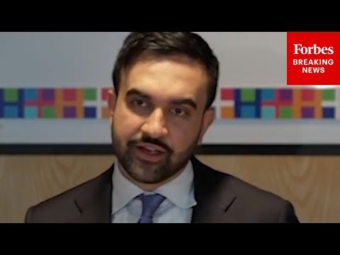 Zohran Mamdani: 'I Support Removing Horse Carriages From Central Park'