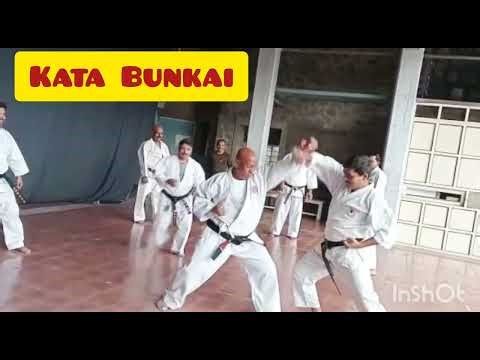 V3 | Kata Bunkai | Training with Kyoshi Sanjay Pawar Sir| Shotokan Karate ‪@VishwasSportsClub‬