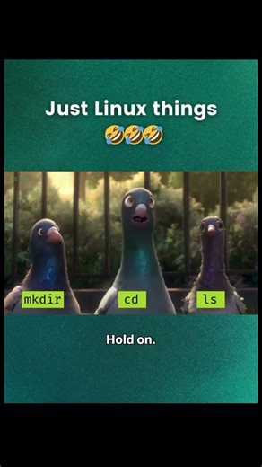 Use Tab please🔥mkdir downloads 🟩 cd Downloads 😂😂 Case sensitive #shorts #fyp #foryou #viral