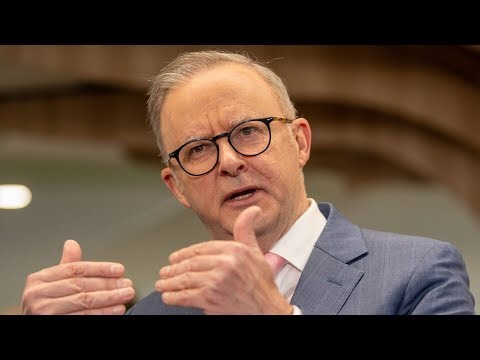 ‘Giant scissor to red tape’: Albanese government’s ‘landmark’ environmental laws