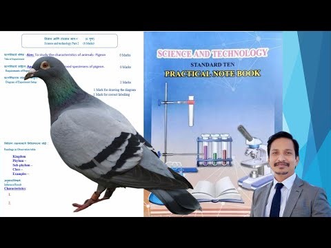 Science 2 Practical 7.2: Study of Characteristics of Pigeon | Chordate Animal | Std 10