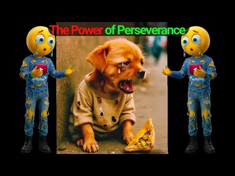 The Power of Perseverance | short emotional story | short film