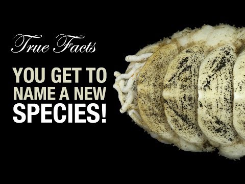 True Facts: New Species Naming Competition