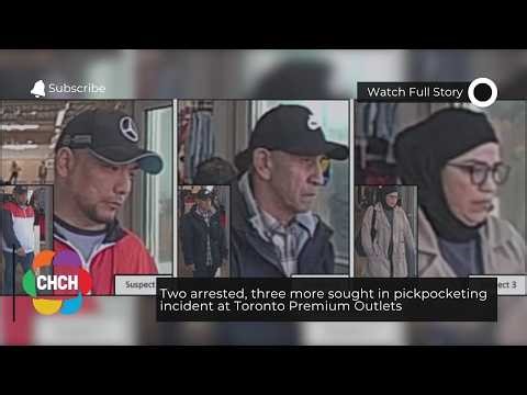 Two arrested, three more sought in pickpocketing incident at Toronto Premium Outlets