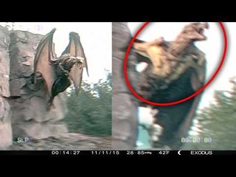 Scientists Discover Biological Anomaly That Can’t Be Explained