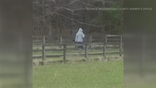 Rockingham County deputies continue search for man suspected of stealing shotgun from home