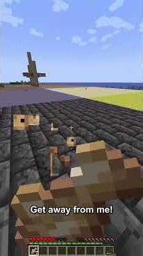 Minecraft, But Every Chunk Is Randomized