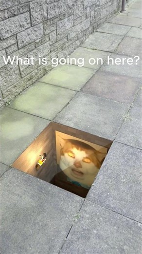 I found the Monday left me broken cat