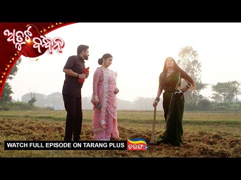 Atuta Bandhana | Ep - 524 | 5th Jan 2026 | Watch Full Episode Now On Tarang Plus