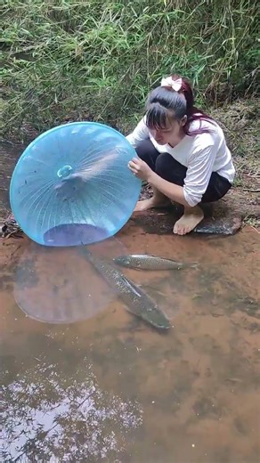 my country life fish catcher #fishing #eelcatch #fishingequipment