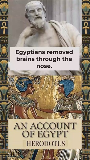 How They Actually Removed the Brain in Ancient Egypt #ancienthistory #mummies