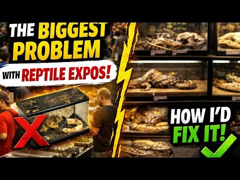 The Biggest Problem With Reptile Expos, And How I Would Fix It