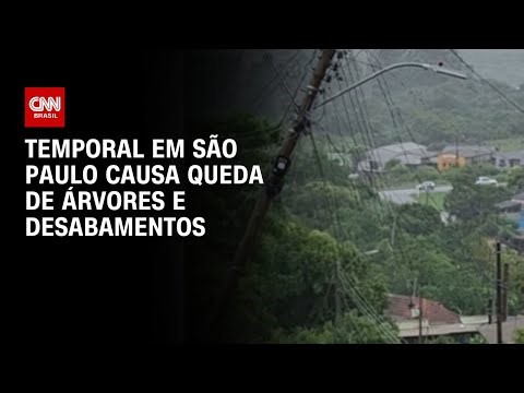 Temporal em SP: Homem fica preso em ferragens após queda de árvore | AGORA CNN