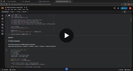 Decision Tree Optimization: Wine Dataset Hyperparameter Tuning | Salwa Agha posted on the topic | LinkedIn