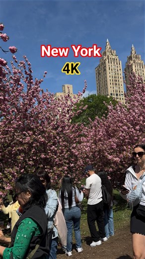 New York Spring Tour 2026 🌸 | Best Places to Visit in NYC #newyorkcity #travel #usa