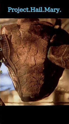 Project Hail Mary | He Gave Up Earth to Save His Alien Friend 🚀💔