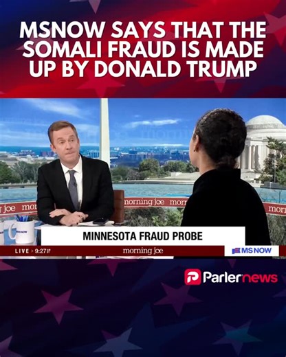 Parler on Instagram: "MSNBC is actually saying Trump, the FBI and DOJ are lying about the fraud"