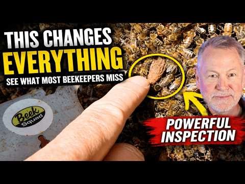 Beekeeping: The One Inspection That Changes Everything