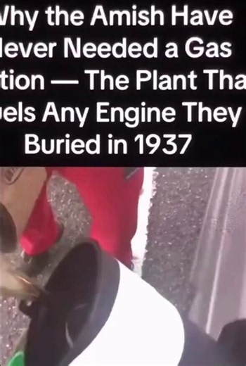 Prohibition wasn’t about stopping people from drinking alcohol, it was about stopping farmers from creating their own fuel for their machines.Making hemp illegal wasn't to keep people safe, it was to maintain the petroleum Monopoly.