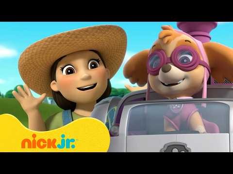 Paw Patrol | ¡Mejores momentos de la Granjera Yumi! 🚜 con Skye | 90 min | Nick Jr. en Español