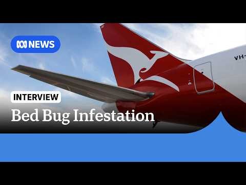 Qantas plane grounded in Rome after bed bug infestation | ABC NEWS