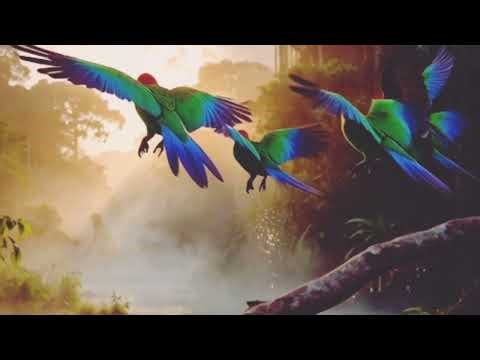 Extreme Wildlife Clash in Heavy Rain 🌧️ | Tiger vs Snake vs Bird (4K Cinematic)#Wildlife