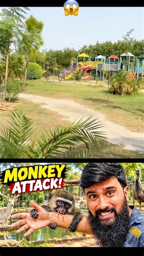 Exploring the Zoo 🦁🐒 | Amazing Animals & Wildlife Adventure! #Shorts