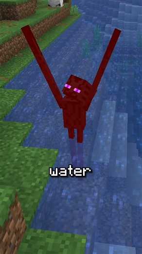 This Mod Turns You Into ANY Mob