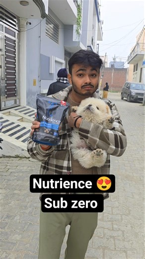 Chow Chow puppies 🐶 ke liye best food #shorts #nutriencesubzero