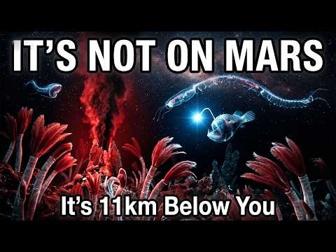 The Most Alien Place in the Solar System Is On Earth