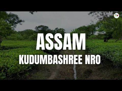 Assam: Community Resilience and Local Governance- Kudumbashree NRO