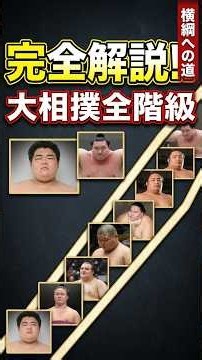 【大相撲】序ノ口から横綱まで！全階級の仕組みを徹底解説 #豊昇龍休場 #横綱問題 #大相撲2026