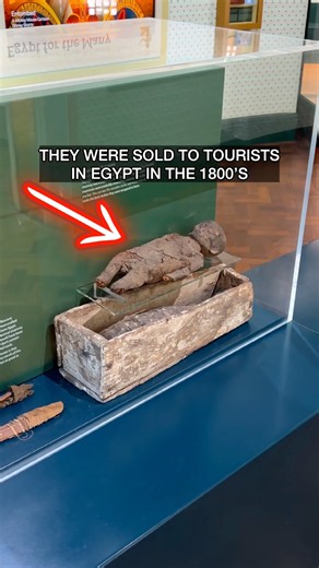 Egyptian Mummies Became Souvenirs
