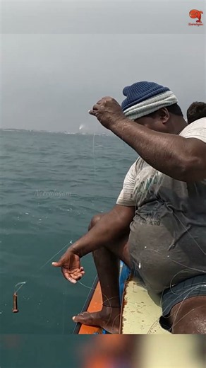 Catching Barracuda in the Sea #fishing #fishingvideos #fishingtime