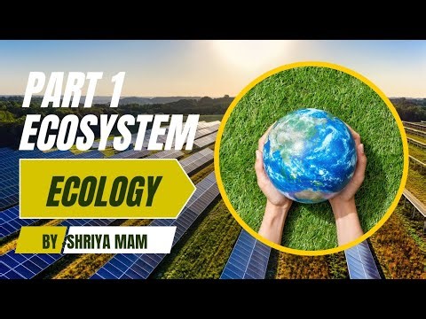 Class 12 chapter Ecosystem part 1 