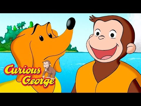 Get Back to Land! 🐵 Curious George 🐵 Kids Cartoon 🐵 Kids Movies