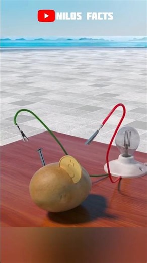 Can a Potato Light a Bulb? #facts