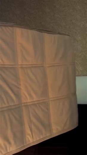 Unboxing My Temu Christmas Haul for Holiday Savings