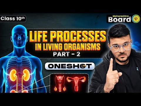 Life Processes in Living Organisms Part 2 ONE SHOT✅ | SSC Class 10 Maharashtra Board | Science 2