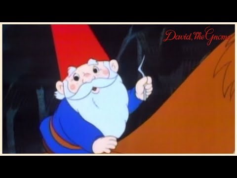 THE LITTLE SORCERER | David the Gnome | S01E02