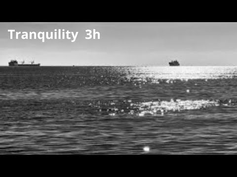 Ocean Tranquility 3h SCIENTIFIC ASMR TRIGGERS for BRAIN NIGHT RESET | Unbroken Sleep Journey