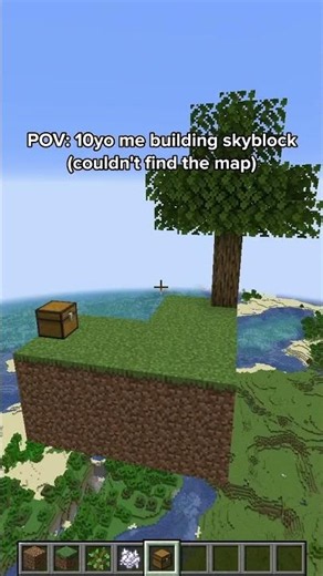Minecraft POV: me building skyblock