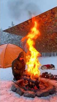 Solo Camping in Heavy Snowfall — Building a Complete Winter Camp With My Husky From Scratch