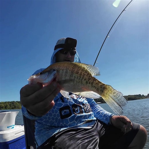 LEGAL TEXAS CRAPPIE‼️ #903Fishing #crappiefishing #texasfishing #fyp #fishinglife